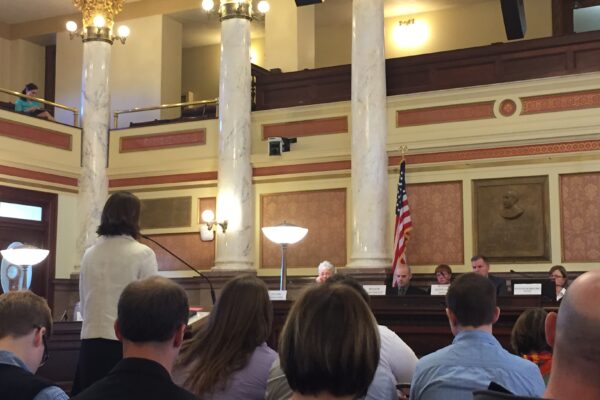 Niki Zupanic testifying