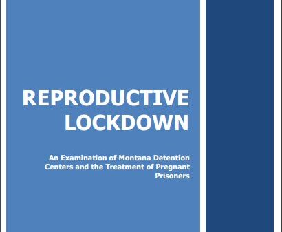 Reproductive lockdown report