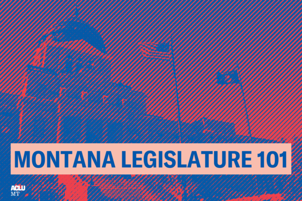 State Capitol Graphic