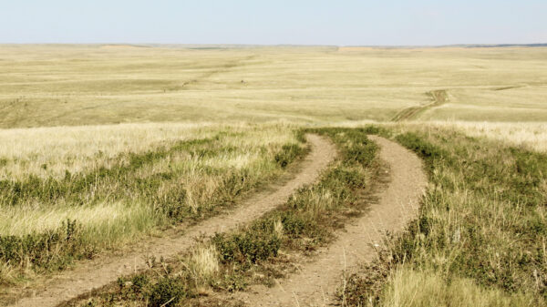 image of rural dirt road