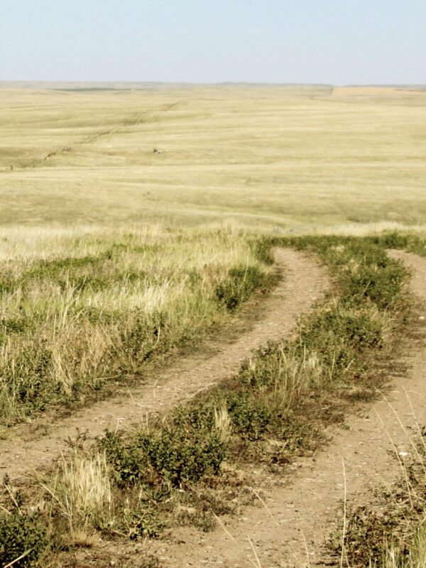 image of rural dirt road