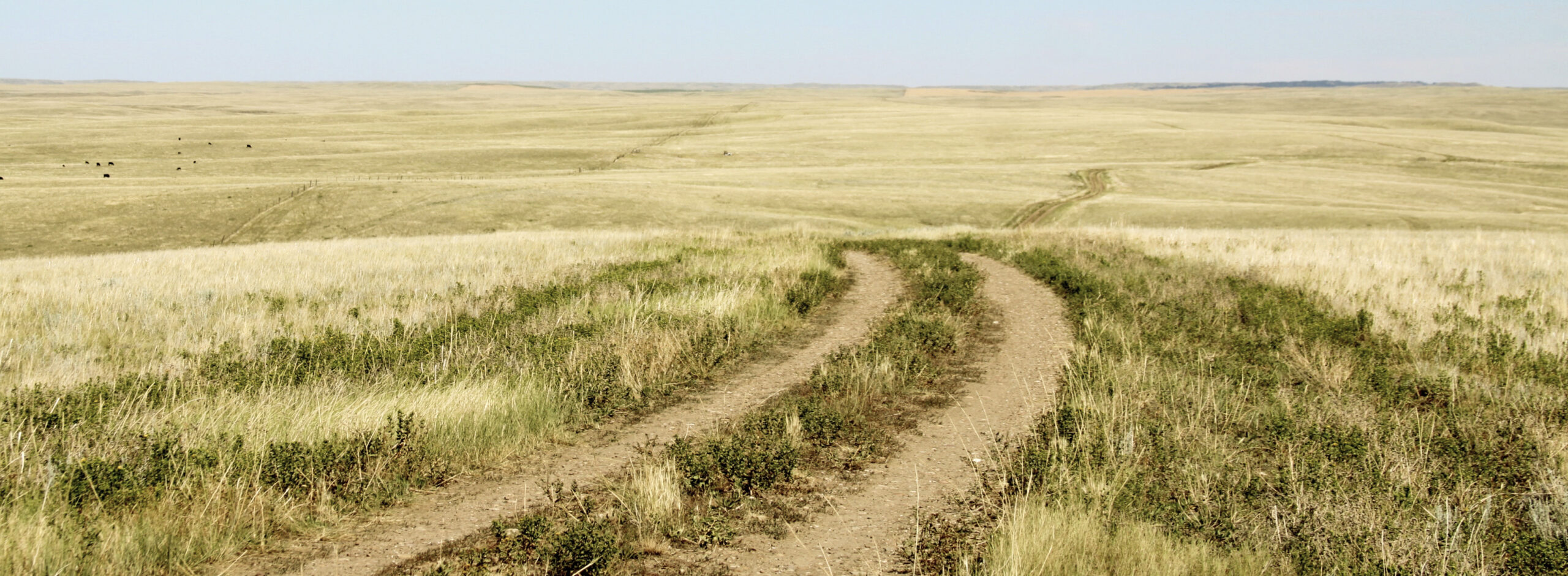 image of rural dirt road