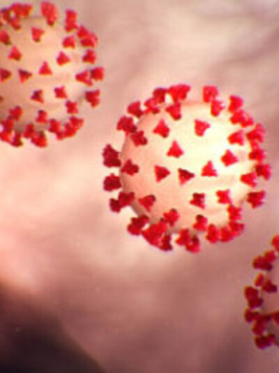 Rendered image of COVID-19 viruses