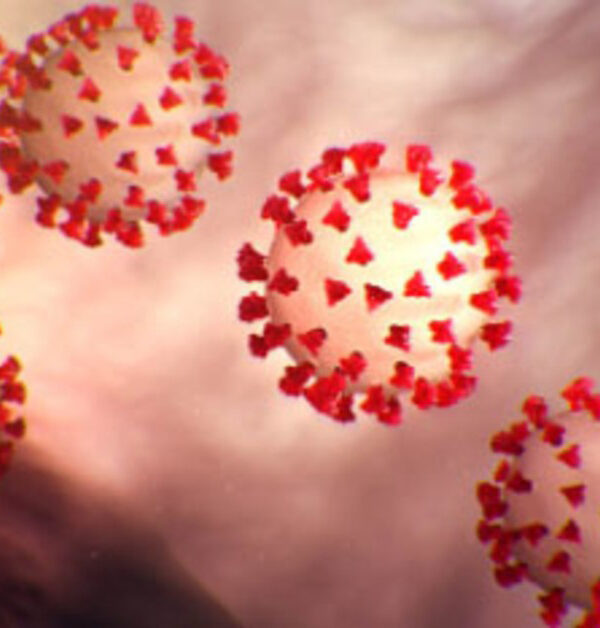 Rendered image of COVID-19 viruses