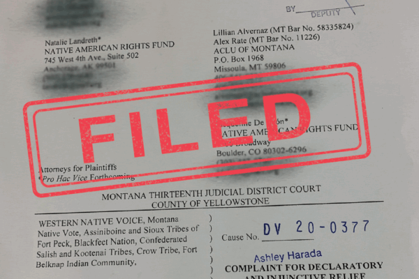 image of filed lawsuit page