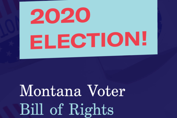 2020 Election Bill of Rights