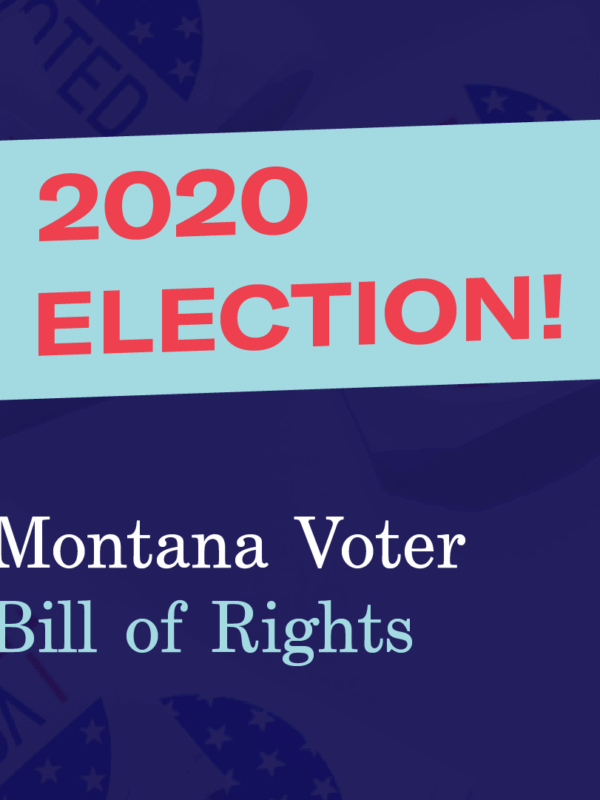 2020 Election Bill of Rights