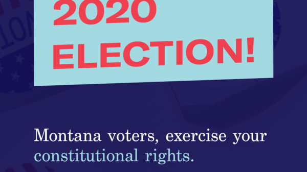 2020 Election graphic