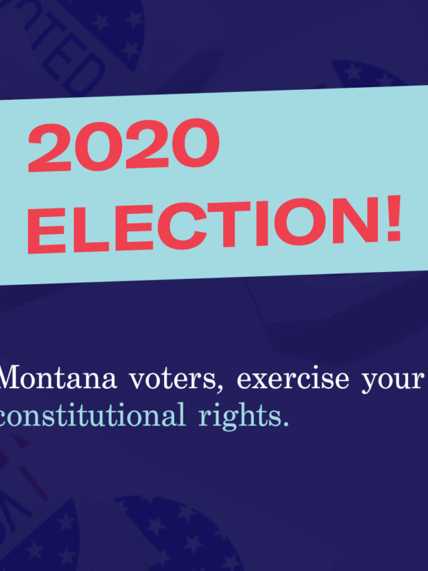 2020 Election graphic