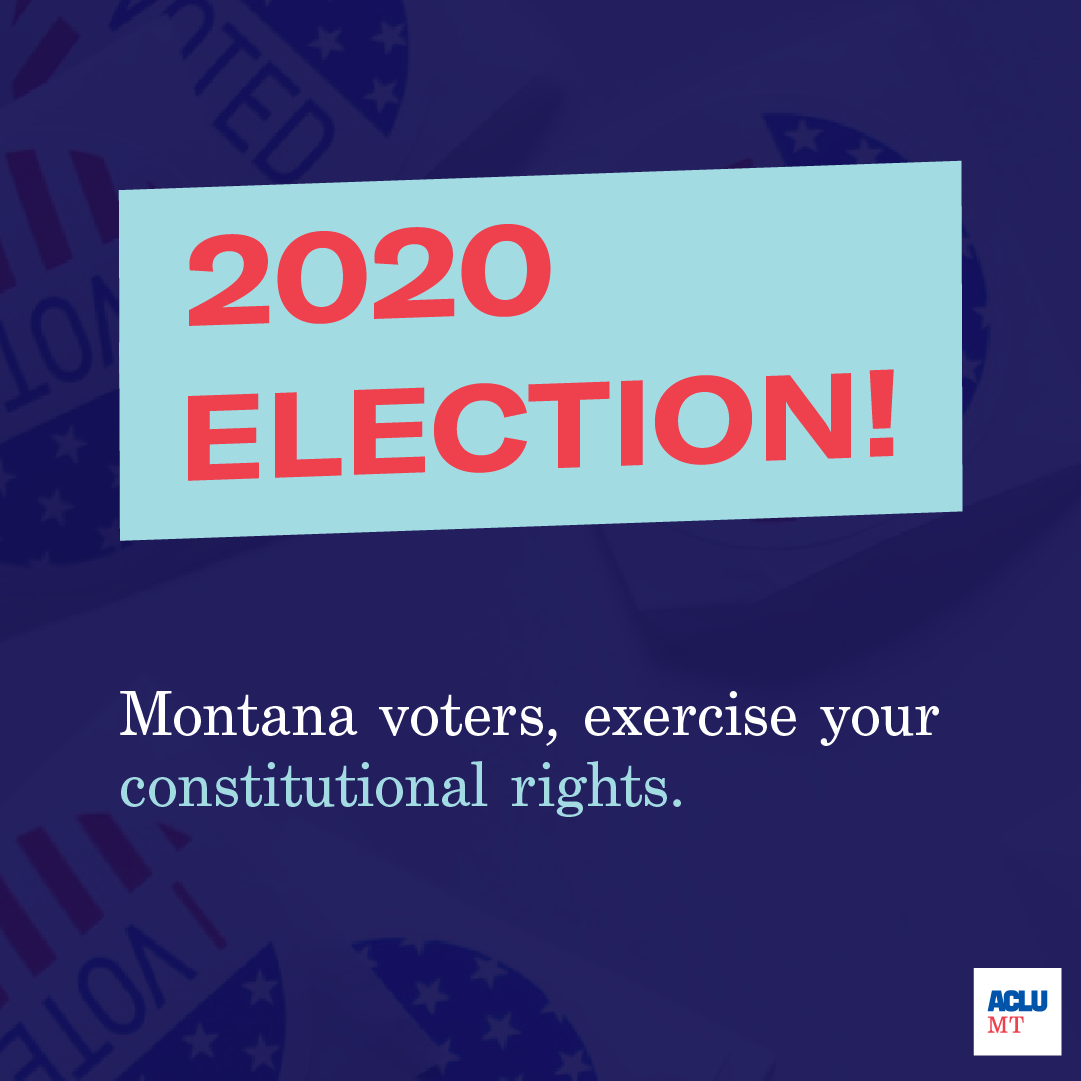 2020 Election graphic