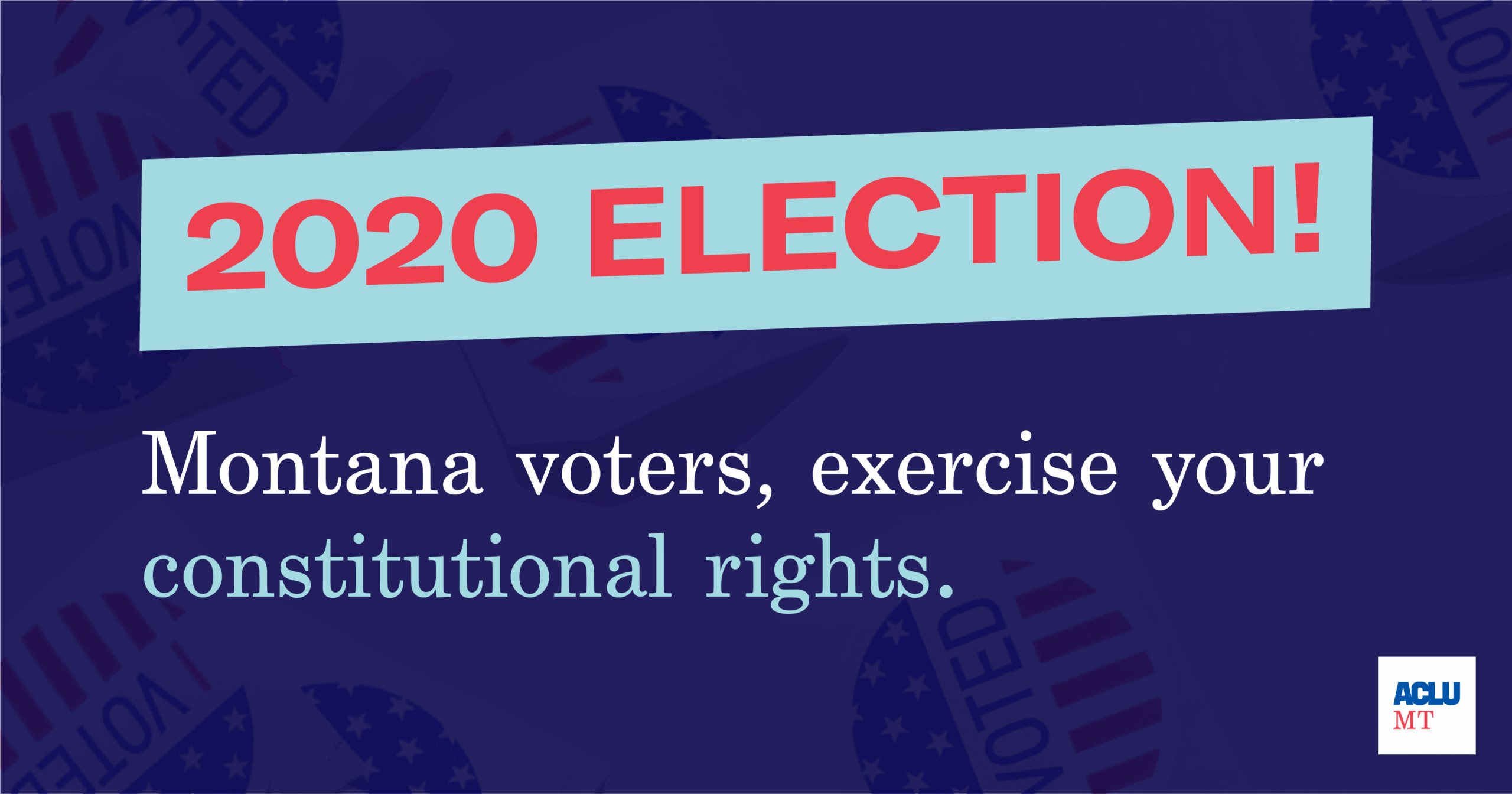 Graphic of 2020 Election