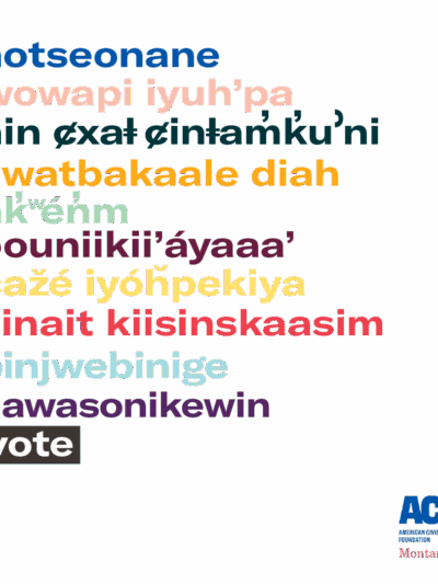 graphic of indigenous languages words or phrases for vote