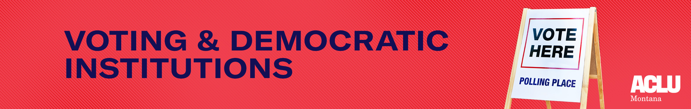 Voting & Democratic Institutions