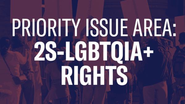 A graphic reading Priority Issue Area: 2s-LGBTQIA+ Rights over a photo of people protesting