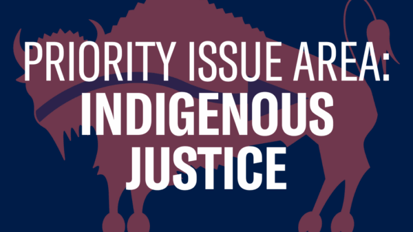 Text reading "Priority Issue Area: Indigenous Justice" on top of a graphic of a bison