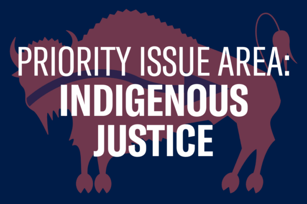 Text reading "Priority Issue Area: Indigenous Justice" on top of a graphic of a bison