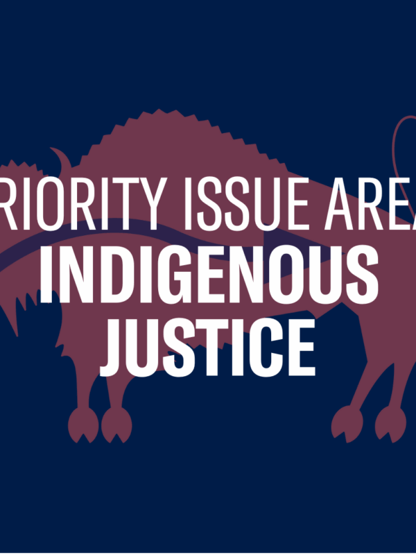 Text reading "Priority Issue Area: Indigenous Justice" on top of a graphic of a bison