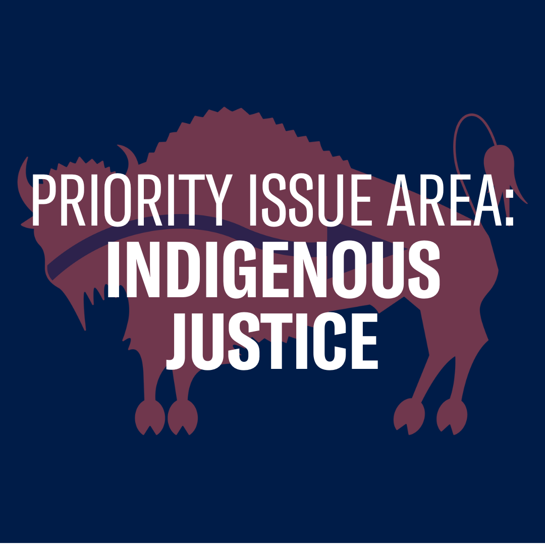 Text reading "Priority Issue Area: Indigenous Justice" on top of a graphic of a bison