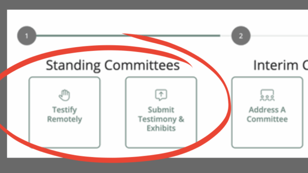 A graphic that reads "participating remotely: during the 2025 regular session, use the Standing Committees and General options to testify, submit comments, and send messages. There is a screenshot of the Public Participation Portal