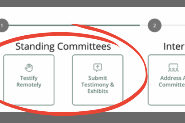 A graphic that reads "participating remotely: during the 2025 regular session, use the Standing Committees and General options to testify, submit comments, and send messages. There is a screenshot of the Public Participation Portal