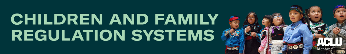 Children and family regulation systems
